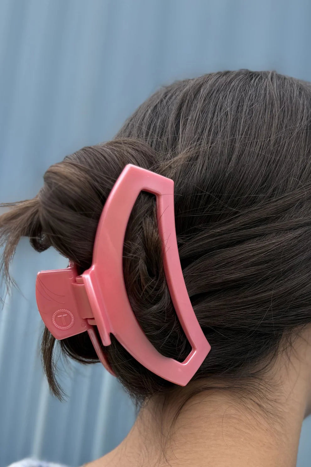 Open Calming Coral Claw Hair Clip