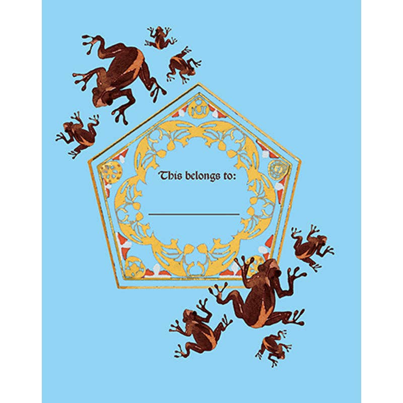 Harry Potter: Chocolate Frog Squishy Lock & Key Diary (NEW)