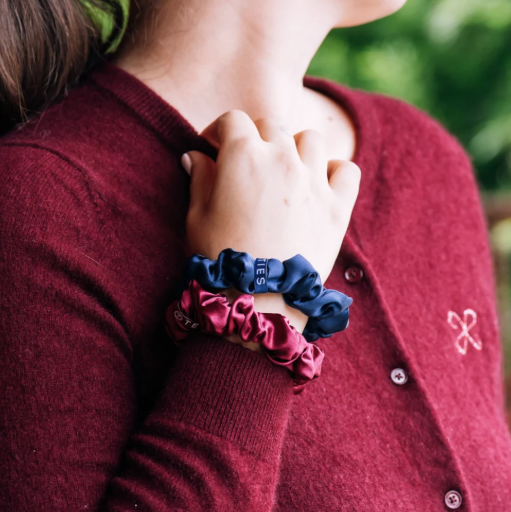 Teleties Autumn Assortments Silk Scrunchie