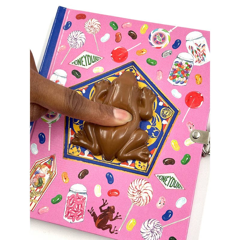 Harry Potter: Chocolate Frog Squishy Lock & Key Diary (NEW)