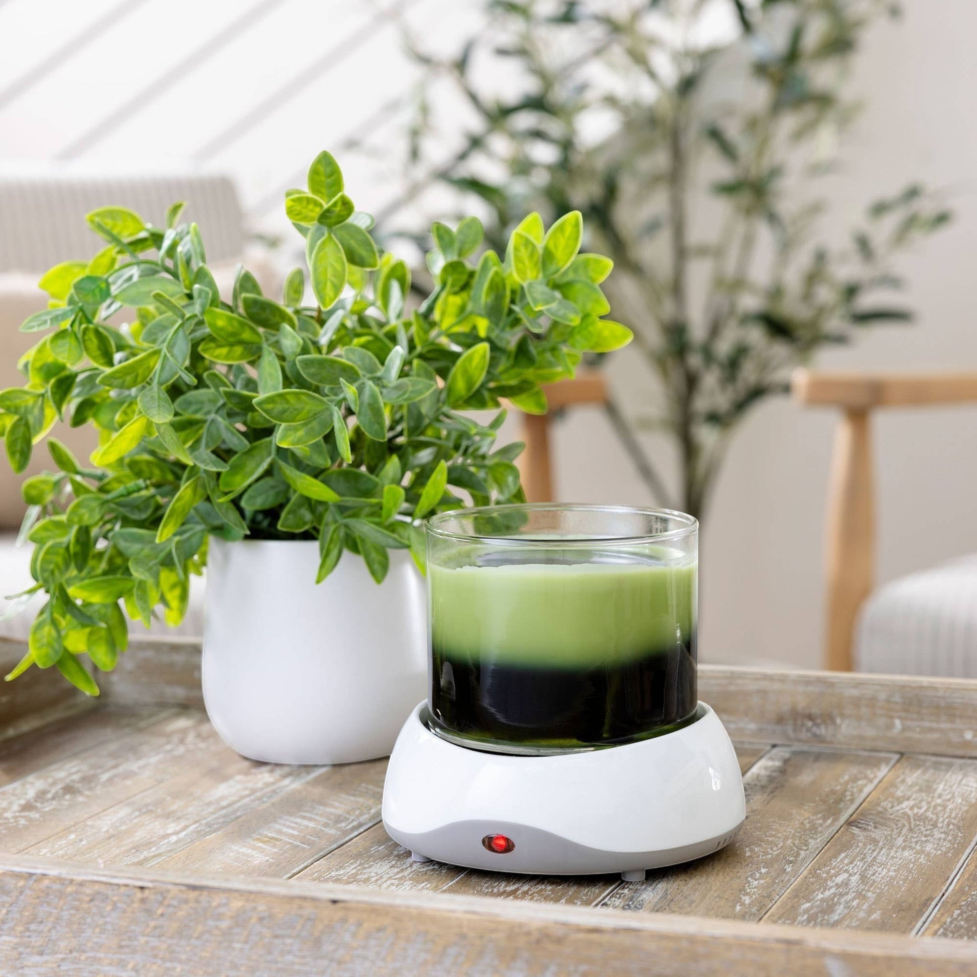 Doodlations Coffee Bar & Boutique electric candle warmer plate with a green and black candle and a potted plant.