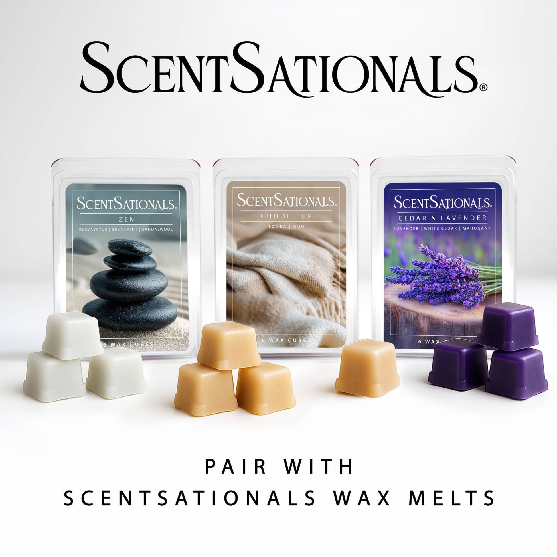 Doodlations Coffee Bar & Boutique wax melt collection featuring Zen, Cuddle Up, and Cedar & Lavender scents.