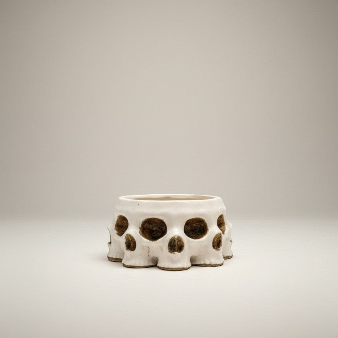 Doodlations Coffee Bar & Boutique white concrete skull candle with gold accents and Amish Harvest scent.