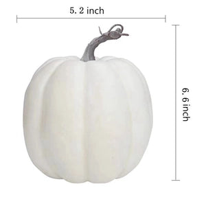 Doodlations Coffee Bar & Boutique white decorative harvest pumpkin with realistic ribbed texture and brown stem