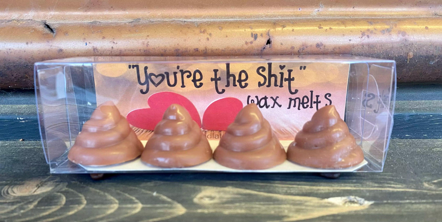 You're The Sh*T Wax Melts - Doodlations Coffee Bar & Boutique