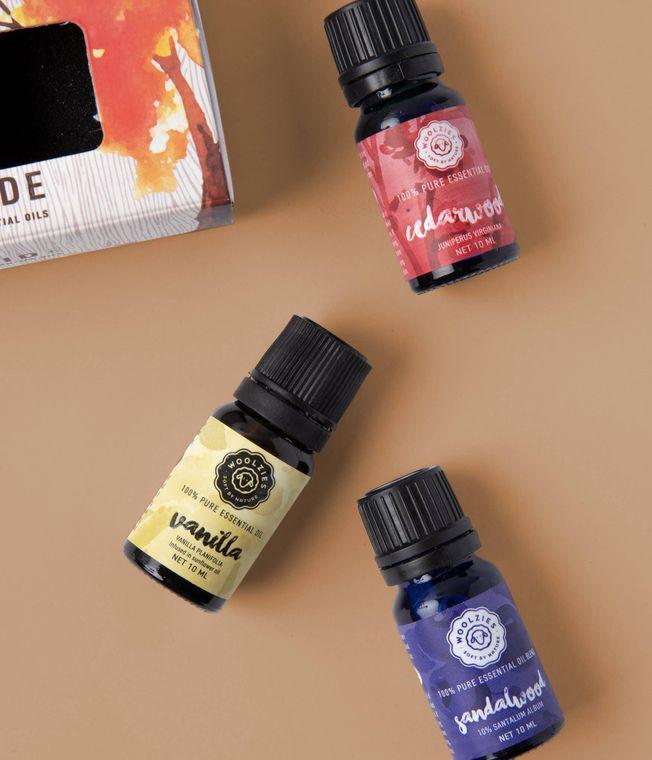 The Cozy Fireside Essential Oil Collection - Doodlations Coffee Bar & Boutique